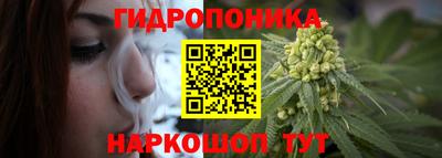 spice Краснокаменск
