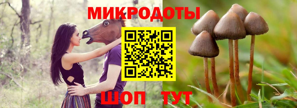 Курганинск  Галлюциногенные грибы мухоморы  Вход с VPN 
